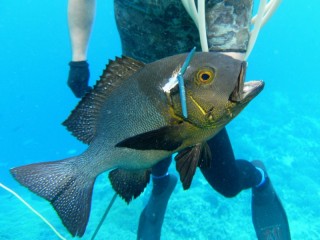 14 EP-FOTO_4