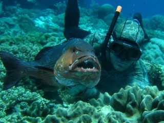13 EP-FOTO_5