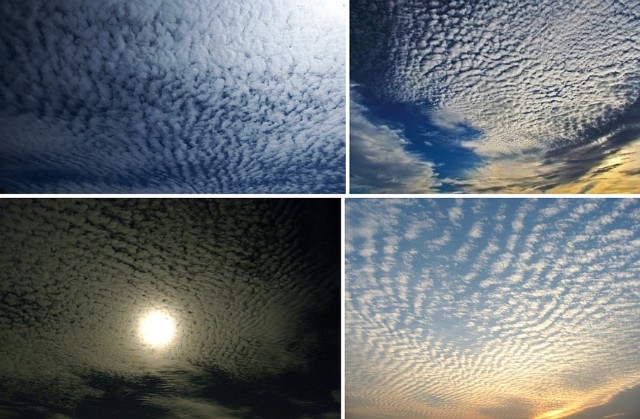 cirrocumulus