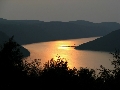 limski thumb