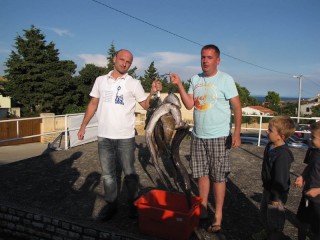 img 5921 20130915 1970961077