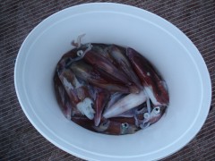 DSC02402