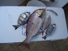 DSC01790