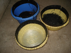 parangali
