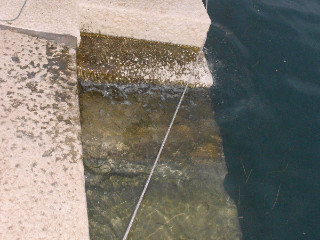 Plima 001