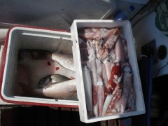 08 Lignjolov_je_bio_samo_uvertira