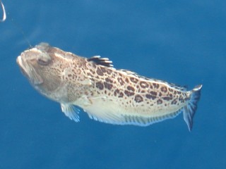 DSC08580