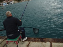 direktasi6