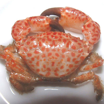 grbasti