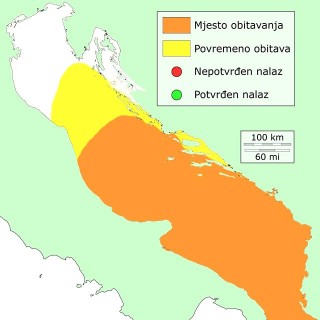 dist