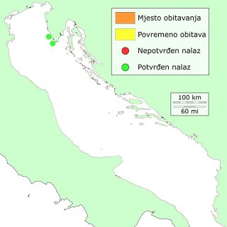 priljepnjak-distribucija