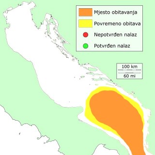 distribucija-dubina