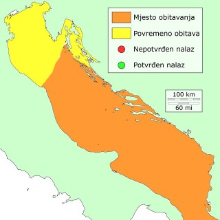 gof-distribucija
