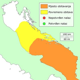 papigaca-distribucija