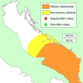 fiatola-distribucija